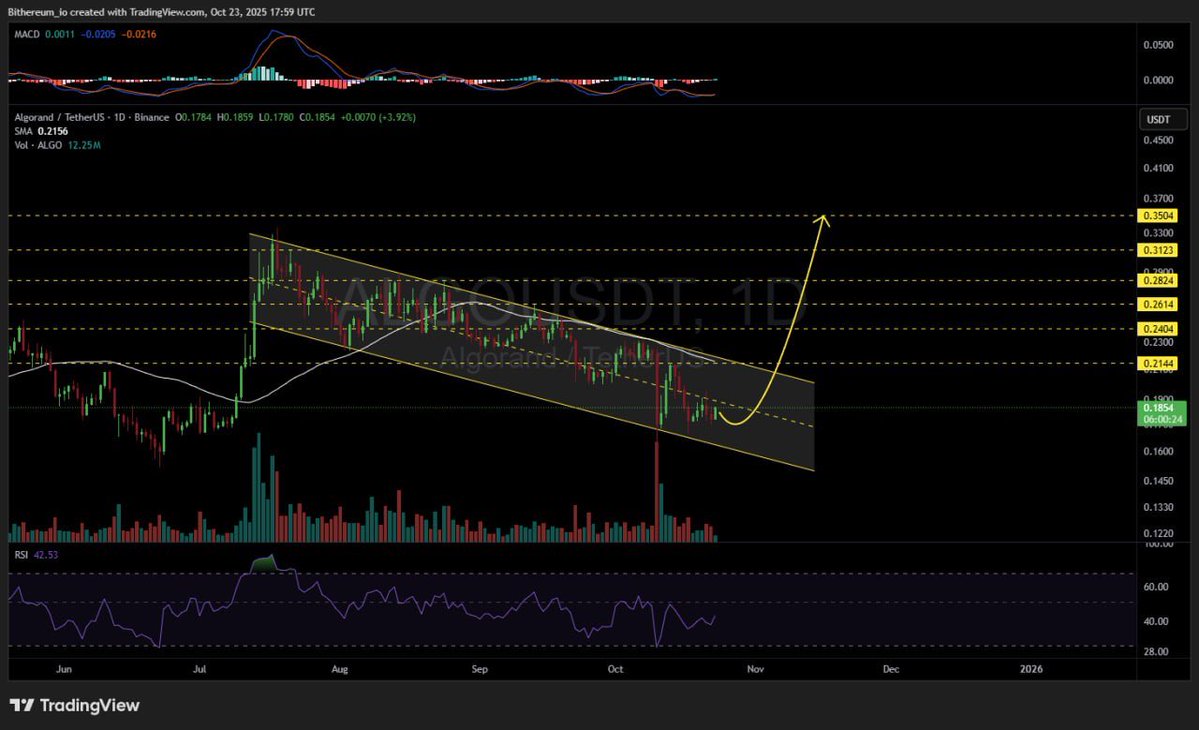 Dynamite_Fix11's tweet image. #ALGOUSDT 1D
#ALGO is moving inside a descending channel on the daily chart. In case of a breakout above the channel resistance and the daily SMA50, the potential targets are:
🎯 $0.2144
🎯 $0.2404
🎯 $0.2614
🎯 $0.2824
🎯 $0.3123
🎯 $0.3504
