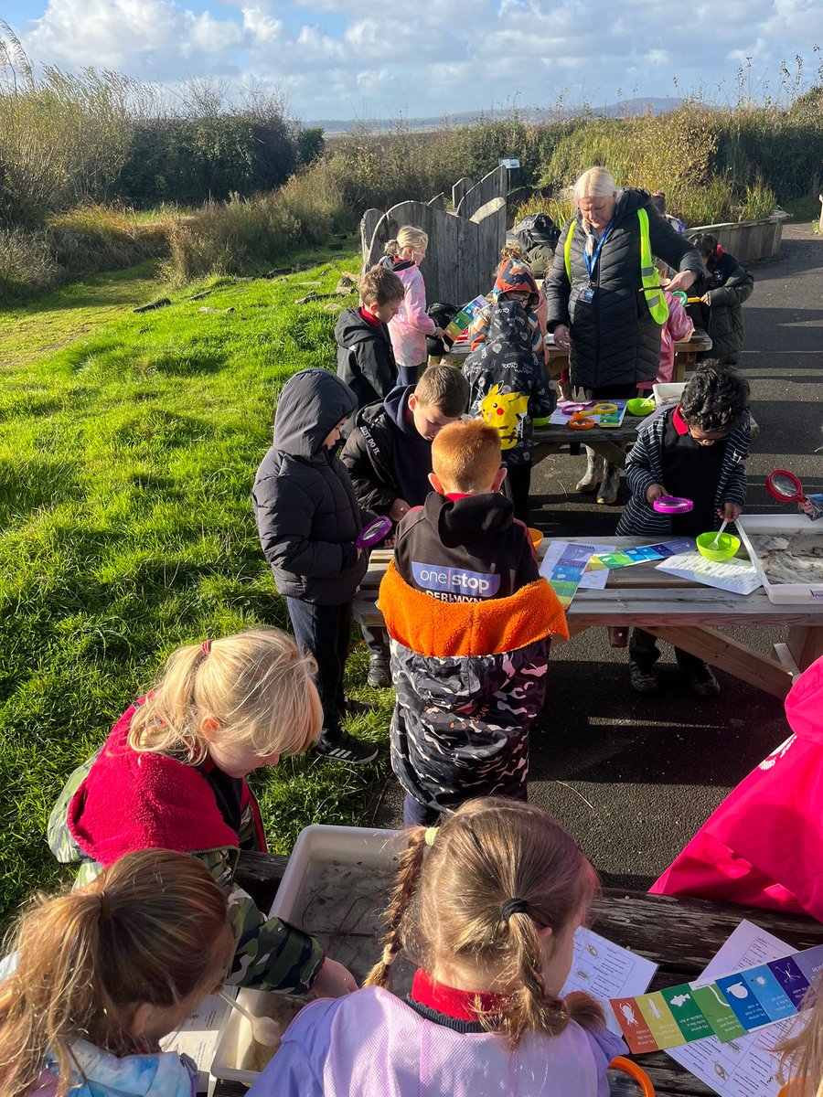 Hendrefoilan's tweet photo. More photos from Y2/3 Turtles trip to @WWTLlanelli. We had a great day. #hdfpturtles https://t.co/DaUD54hAF6