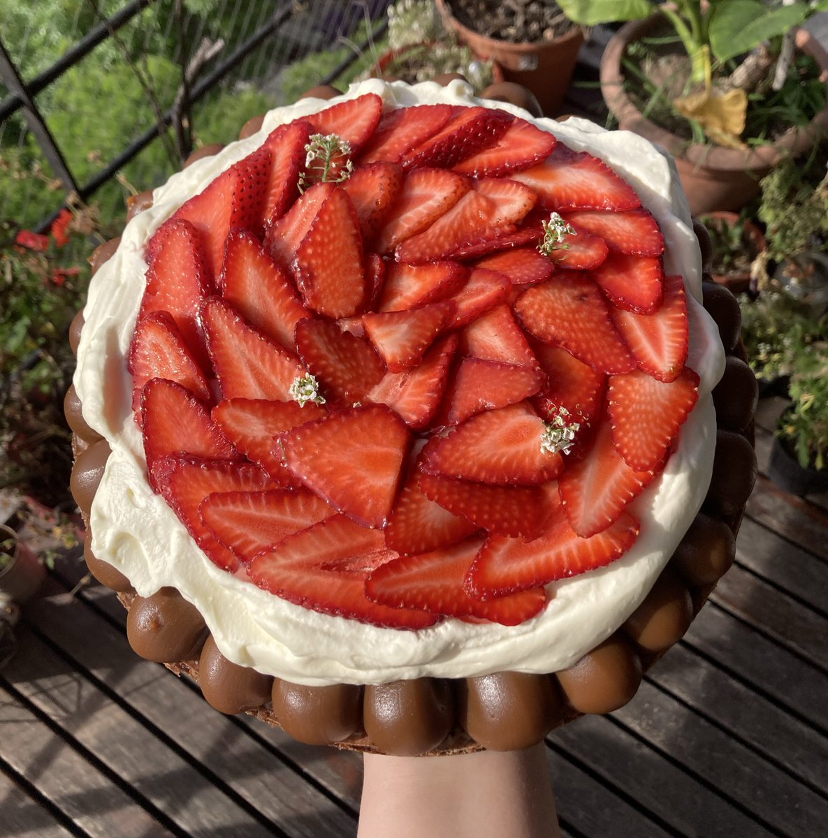 Azupuma's tweet image. Bendita sea la temporada de frutillas