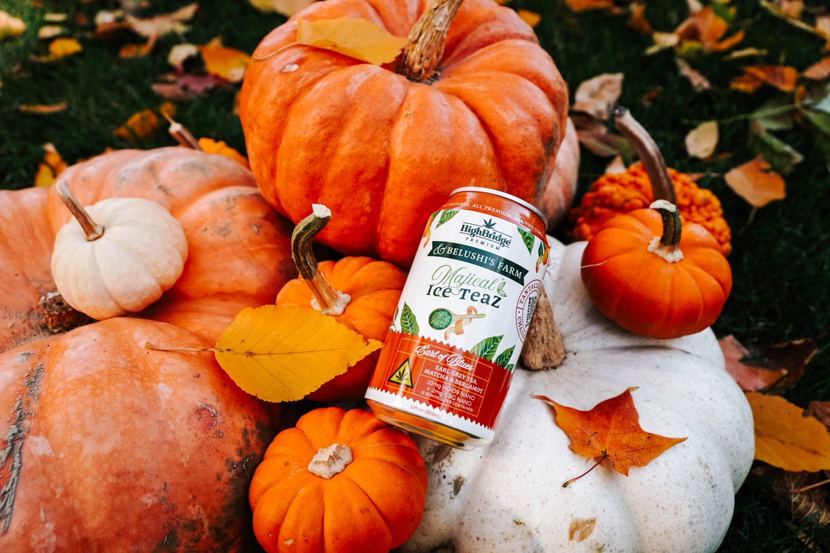 Our Earl of Blues Majical Ice TeaZ - crafted with Earl Grey #tea, matcha, and bergamot - is here to keep your autumn #vibes smooth and your mind mellow.
.
Brewed in collaboration with <a href="/JimBelushi/">Jim Belushi</a> &amp; <a href="/belushisfarmOre/">Belushi's Farm Oregon</a>, it’s fall majic in a can.