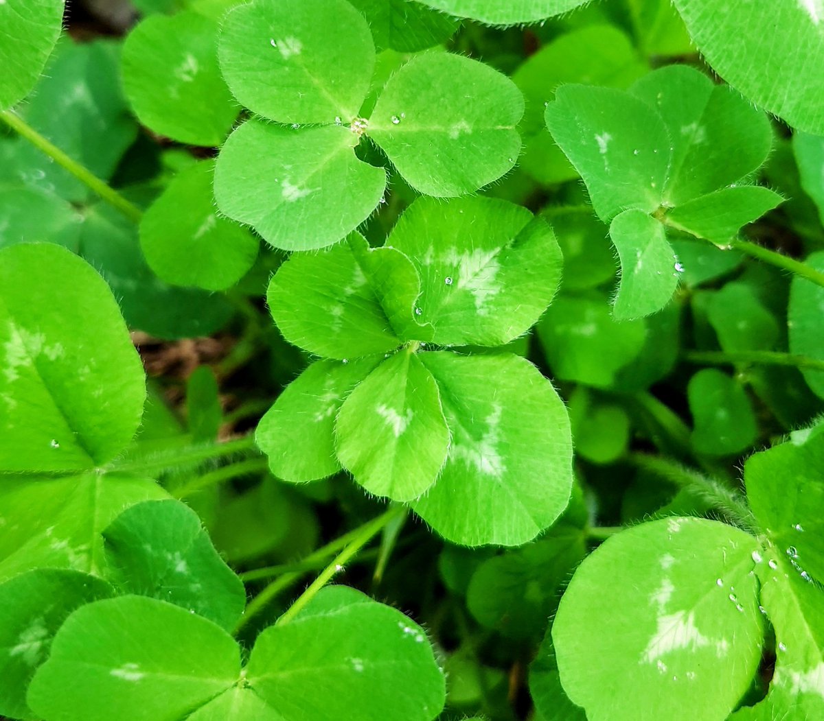 ハル (@haru195) / Posts / X