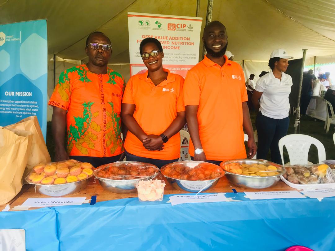 CipotatoRW's tweet image. Today, @Cipotato joined @FAORwanda , @RwandaAgri, and partners @Taat_Africa in #Nyamagabe and disseminated #OFSP vines to celebrate #WorldFoodDay under the theme “Hand in Hand for better food and a better future.”