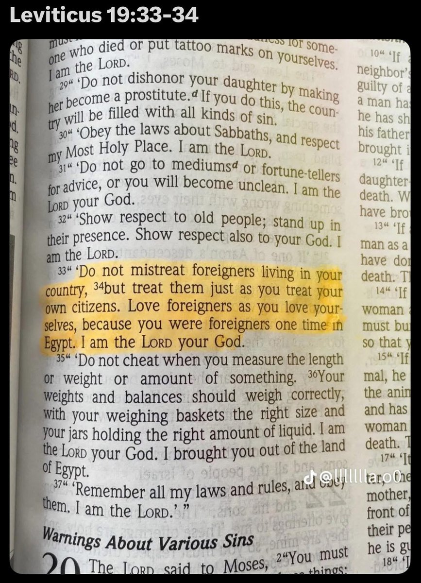 Ryat Wynters tweet media