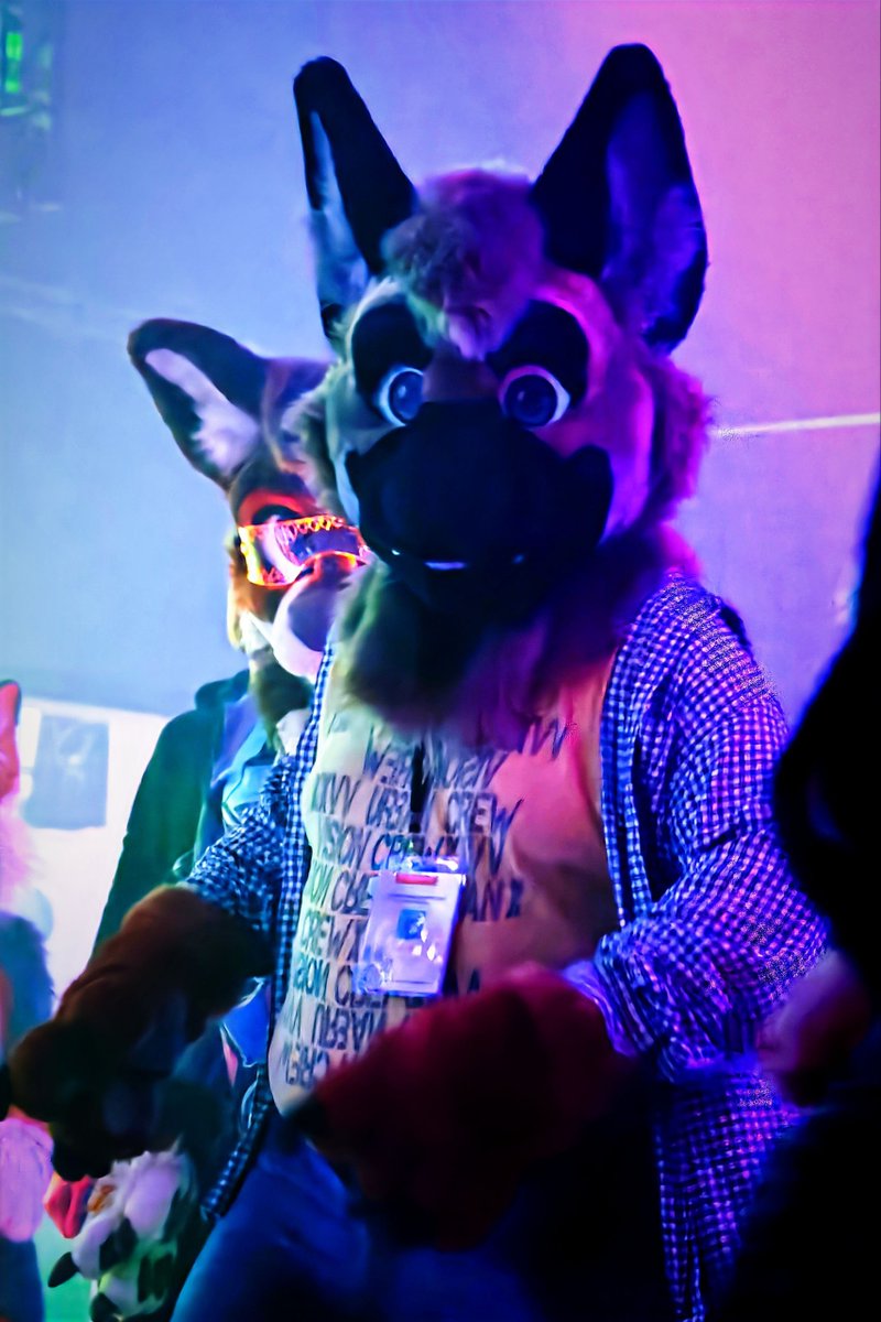 Tanzen auf dem #FusionFurDance in Simbach am Inn. Eine so schöne Location, liebe Fussels und nices Line-Up. Von mir eine definitive Empfehlung! Ich werde das nächste Mal definitiv wieder dabei sein!
#fursuit #fursuiter #FursuitFriday

✂️ <a href="/Evi1Makers/">EvilMakers🏳️‍⚧️Commissions CLOSED</a> 
📷 <a href="/RexorisFenrikos/">👑Rex Fenrikos👑</a>