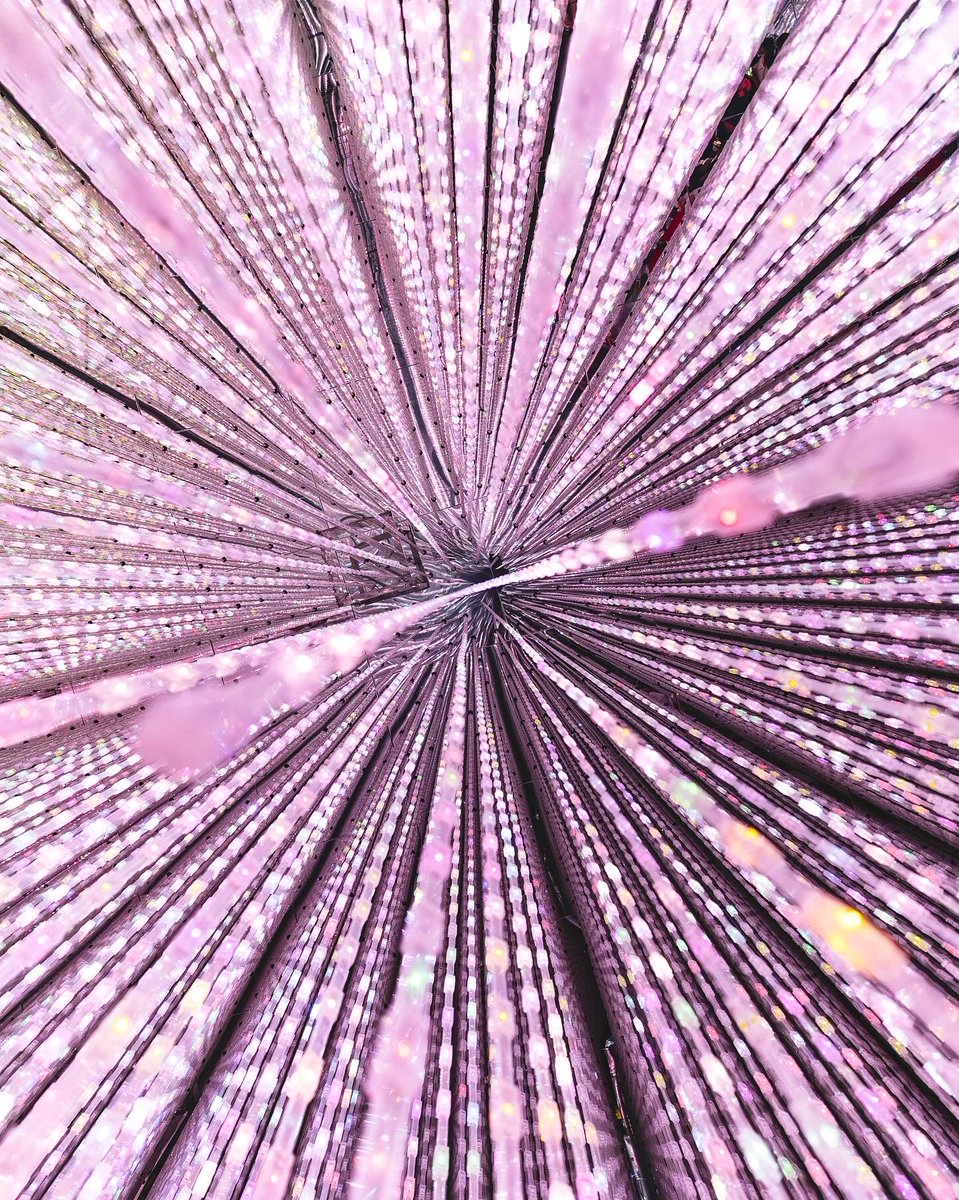 Sekondtry tweet media