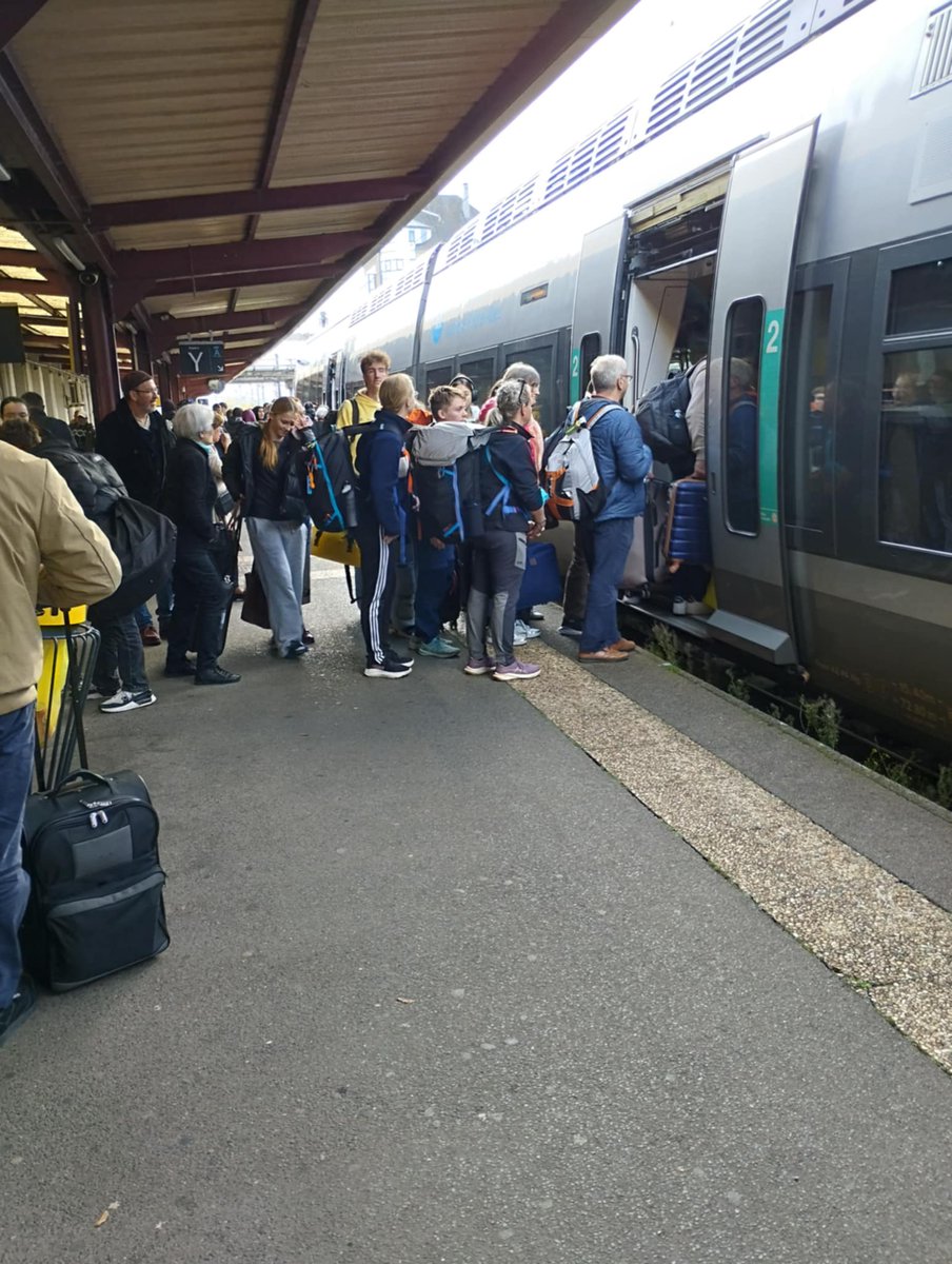 Adelifpaly tweet media