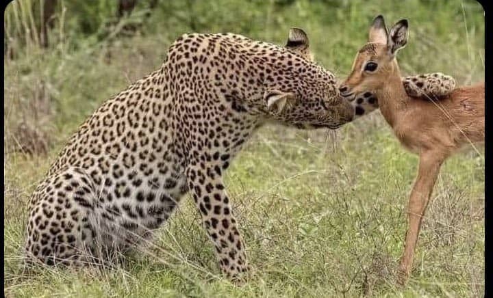 GKPearls's tweet image. One day you will realize all the time, effort, and struggles were necessary. You&apos;ll be thankful you never gave up. #WKCArmy