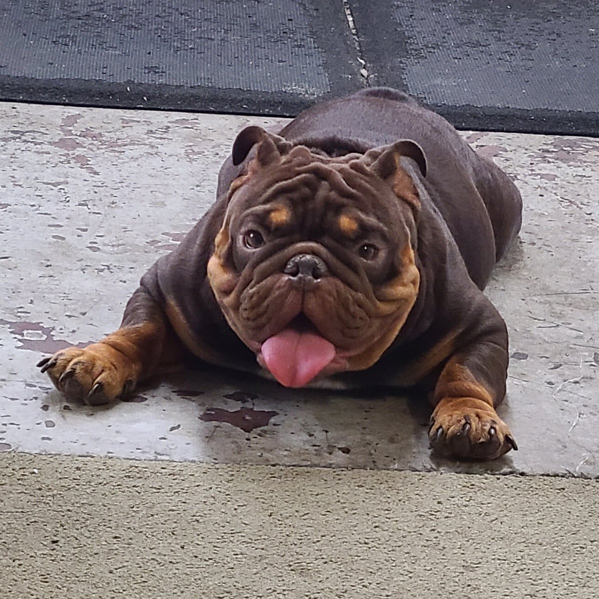 BERRYBIRD.SOL🥝 tweet media