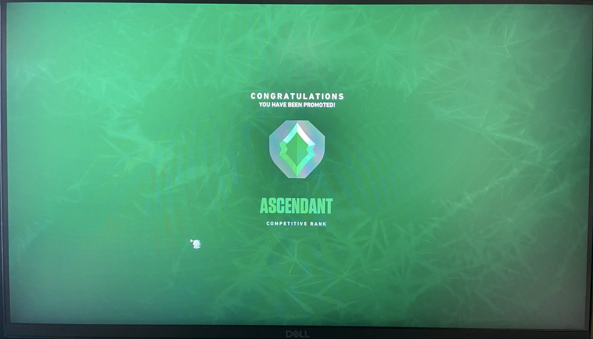 はる！！！ tweet media