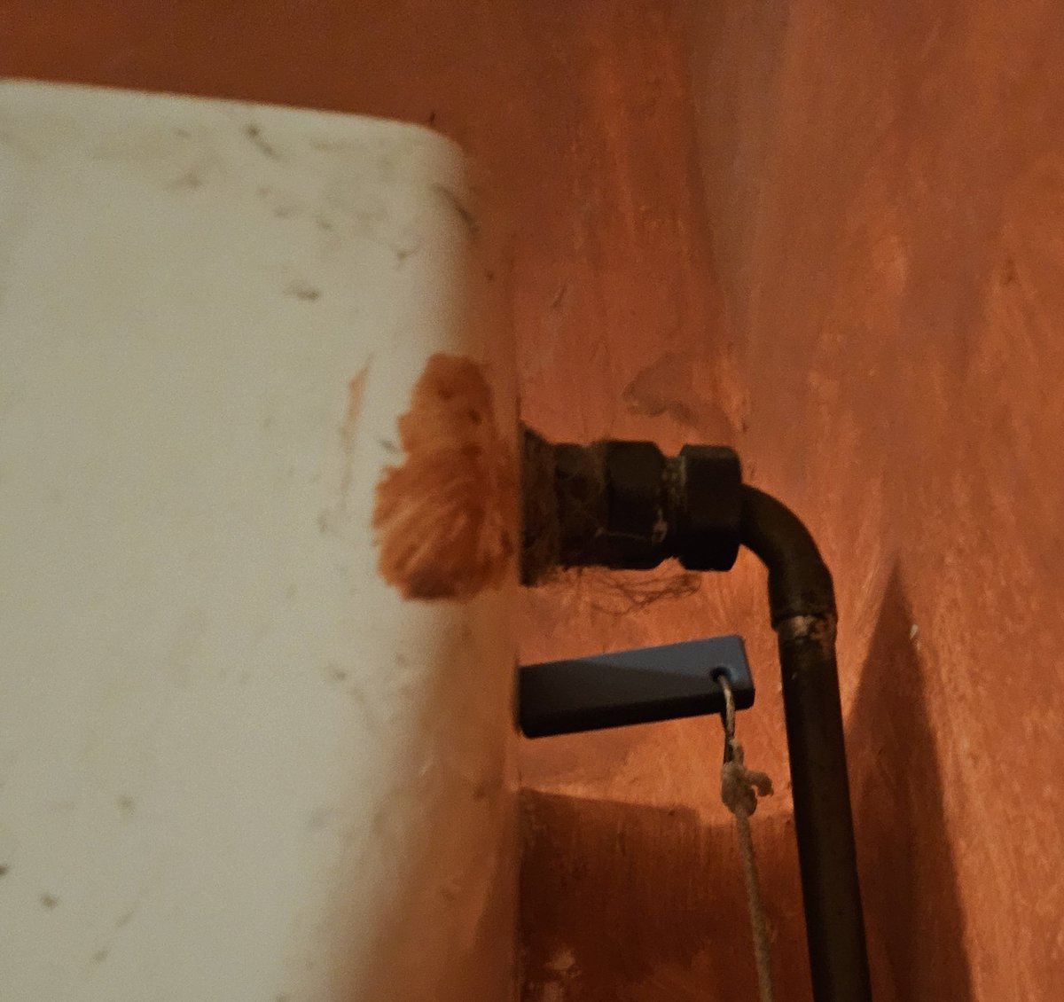 MaurusM_AI's tweet image. Another quick job done with my trusty FreeCAD and my beloved Prusa Core One. Repairing an old toilet flush for which spare parts are no longer available. Done and works great, how satisfaction!
@Prusa3D @FreeCADNews #3DPrinting #3dmodeling #prusa #CAD #freecad #design