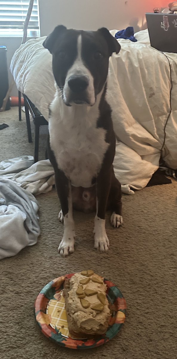 happy birthday beans!!!!!!! you’re a man now (6)