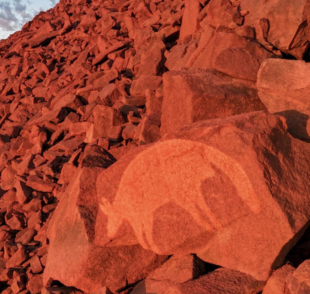 amayor's tweet image. Indigenous Australians discovered, interpreted, and collected fossils, new evidence for #FossilFriday
abc.net.au/news/science/2…