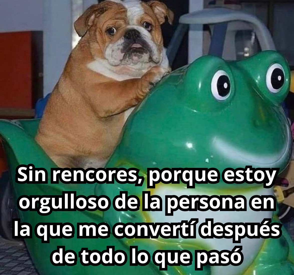 emociones amarillas (@conoloracigarro) on Twitter photo 