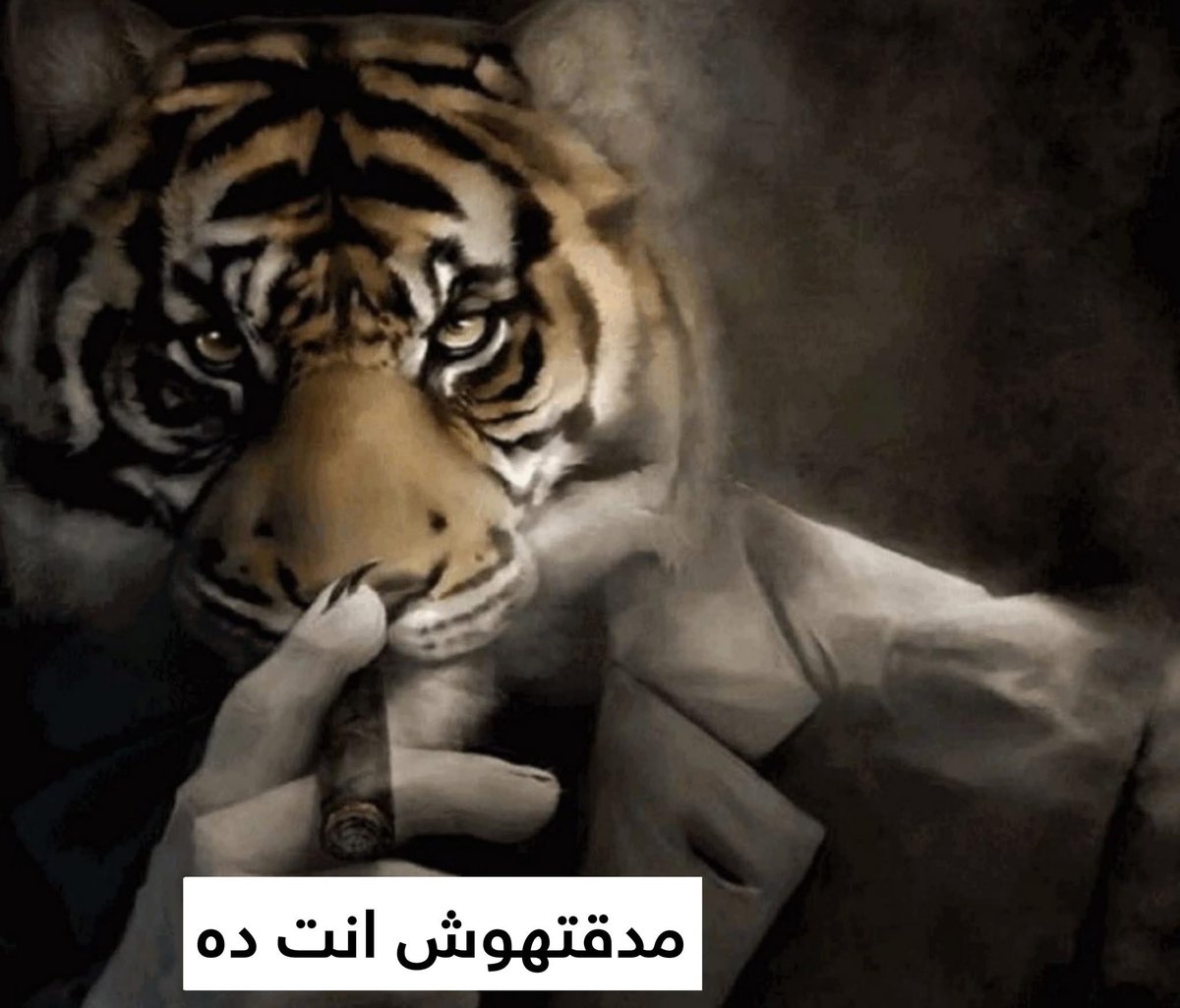 egymeme11's tweet photo. الإستقرار النفسي 
الإستقرار العاطفي
الإستقرار الوظيفي
الإستقرار عامةً https://t.co/D9MFmzJLfR