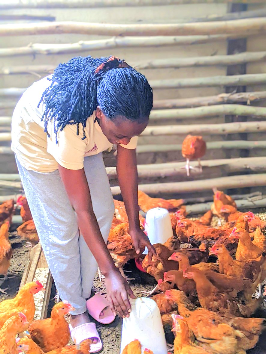 Gil_Niyonkuru's tweet photo. Farm Life: The Ultimate Mental Therapy 🐄🐓
Spending time with animals is more than farming - it’s soul healing.
Their calm presence, trust, and simple joy reduce stress, boost happiness, and bring peace of mind.
Feeding, caring, or just watching them teaches patience, gratitude, and mindfulness. Every moo, cluck, or nuzzle is nature’s gentle therapy. 🐑✨
#FarmTherapy #MentalHealth #NatureHeals #AnimalLove #PeaceOfMind