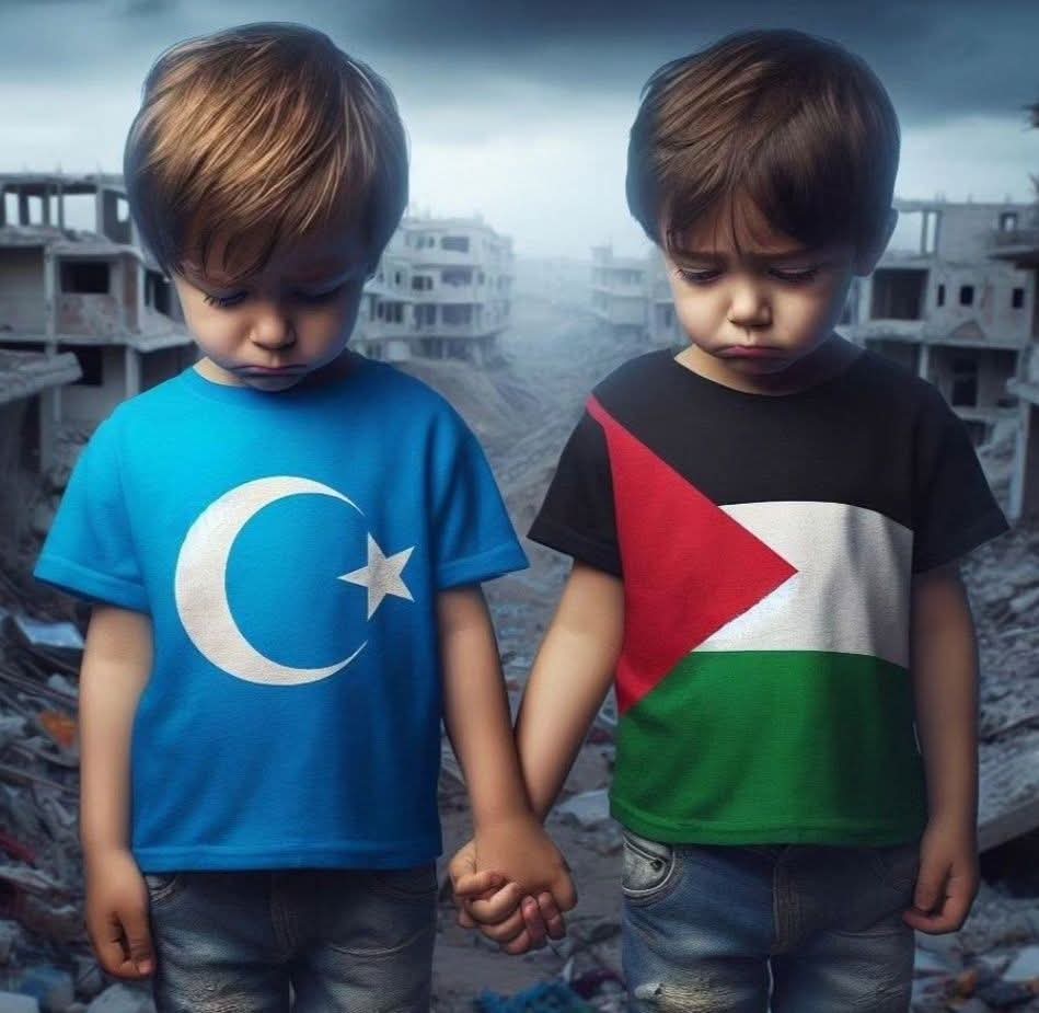 BalaHatun1234's tweet photo. Rabbim!
#DoğuTürkistan’ın, #Gazze’nin ve tüm #mazlum beldelerin kurtuluş günlerini bizlere göster.Bizleri de o günlere kavuşmak için #mücadele edenlerden #eyle.🤲🕊️ https://t.co/ZxsZNGMuHL