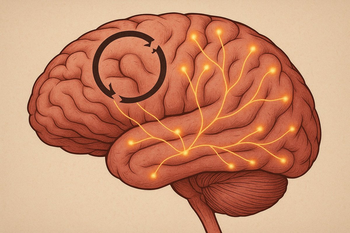 SapientAmerica's tweet image. 🧠 Addiction hijacks your reward system—but healing rewires it.
Recovery isn’t just willpower—it’s neurobiology.
#AddictionScience #RewireTheBrain