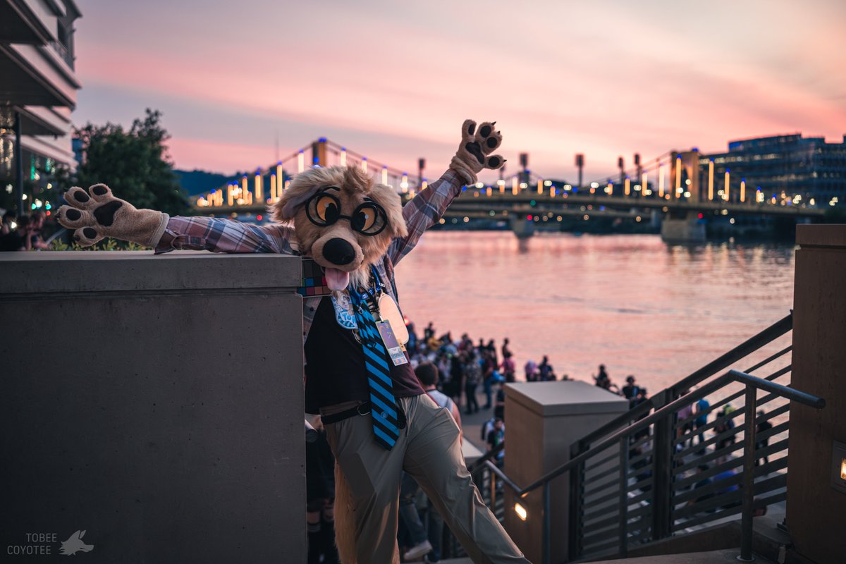 This dog is excited for #furpoc2025 ! Who am I seeing there?

#fursuitfriday
📸: <a href="/tobeecoyotee/">Tobee Coyotee</a>