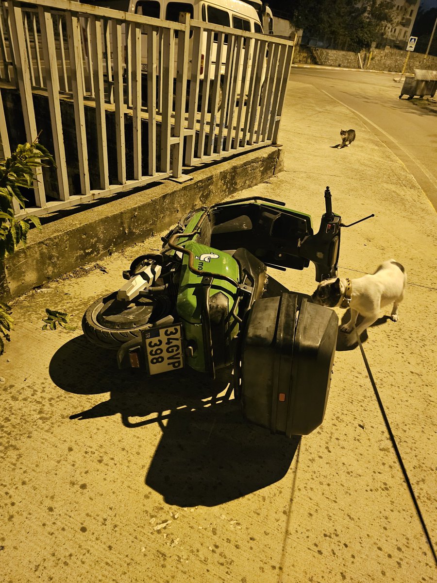 Bu garibim her gün oteleniyor kimsede kaldirmiyor bir haftadir ordan oraya vurdular biri kurtarsin sunu <a href="/martiteknoloji/">martı</a>