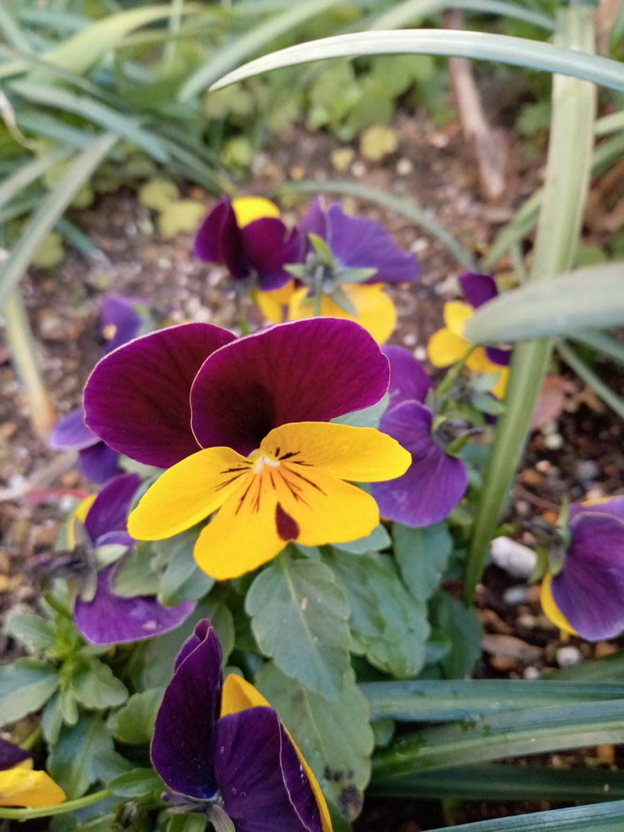 皆さん✨✨✨
おはよぉございます🤗
やっぱり筋肉痛になるよねぇ💥
身体バキバキじゃけぇ
ぼちぼちやります💪
土曜日じゃけぇ
土アップで🐈🐈‍⬛🐈‍⬛
それでは本日もご安全に👷