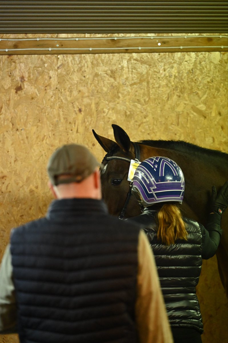 Vid dagens avelsvärdering visade Elisabeth Melander Kilmister (Chapter Seven-Treviso) och Imperatur Am (Ready Cash-Princess Face) och vann visningspriset ❤️💛 Foto Kim Moberg