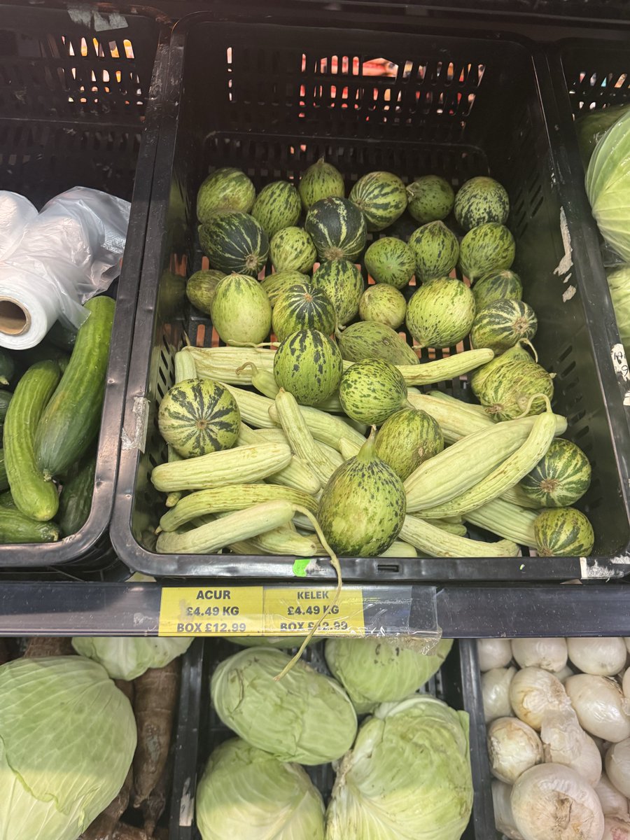 koguz (@koguz) on Twitter photo 