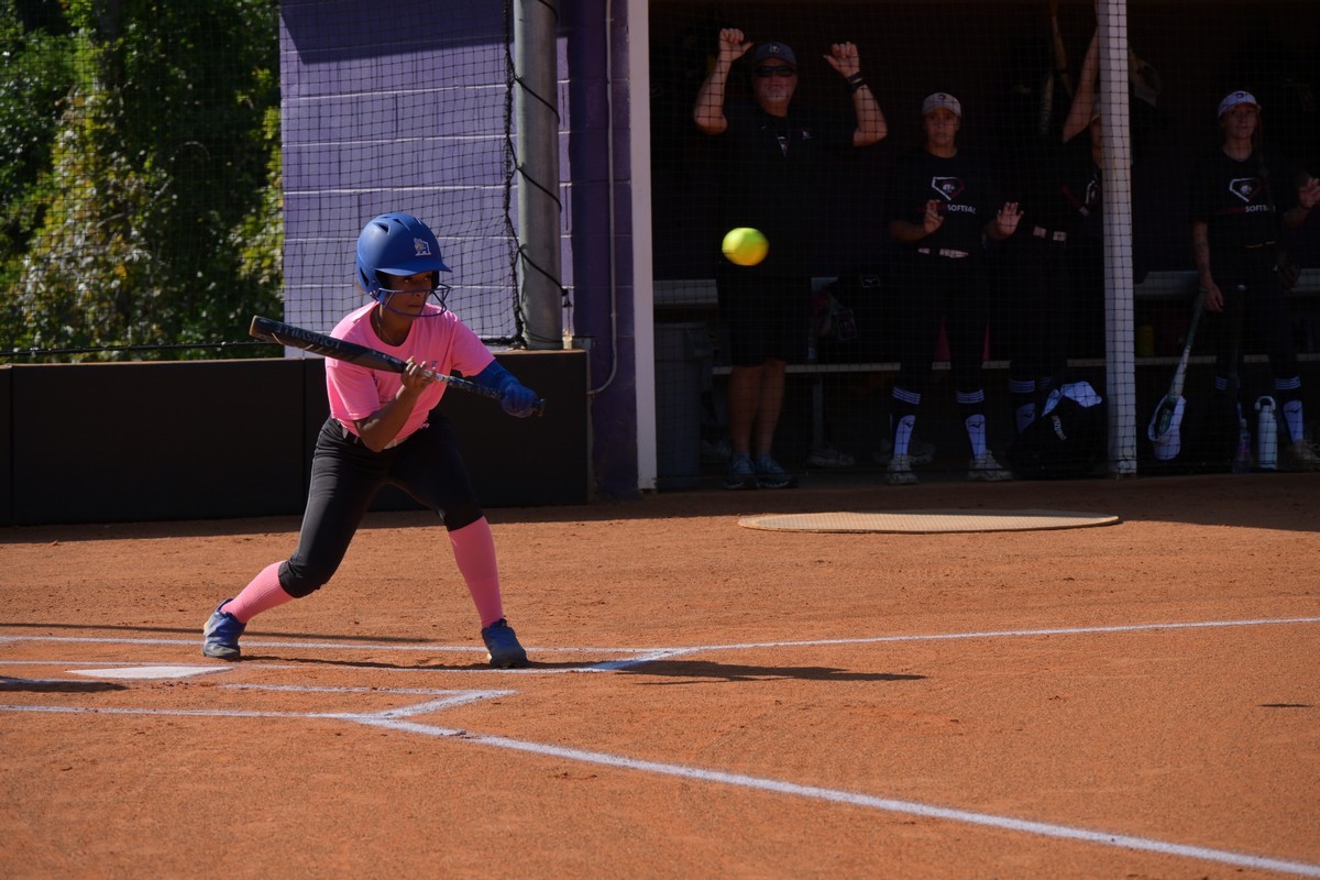 coachK_AUSB's tweet image. Allen University softball action shots....
@ccprospects23 @auyellowjackets @HbcuepCamps @HBCUSoftball @commit2HBCU @HBCUSports1 @MSPtakeover @PlayersAlliance @SoftballDown @dkrebs_2025 @SCStateAthletic @scstatesb