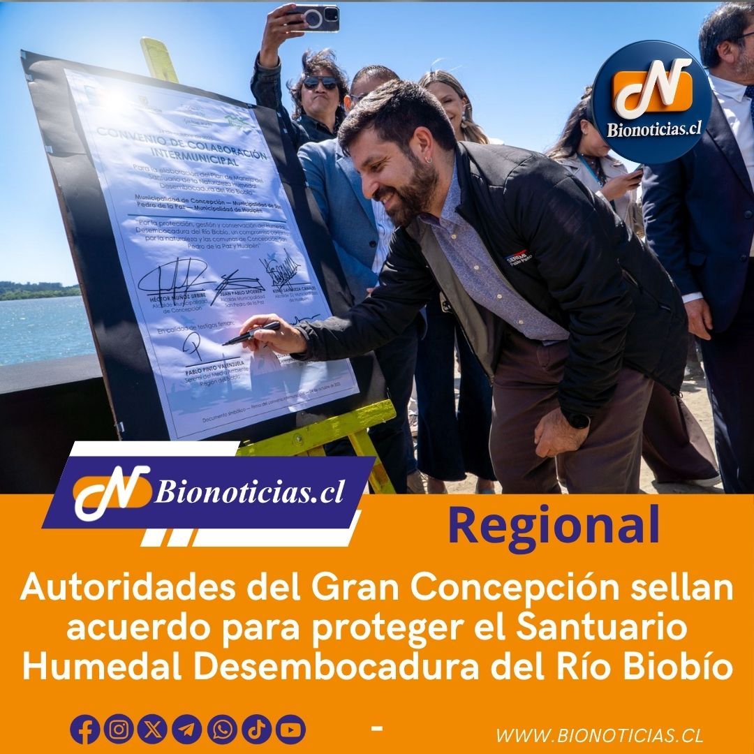 CHANDIAFER's tweet image. Autoridades del Gran Concepción sellan acuerdo para proteger el Santuario Humedal Desembocadura del Río Biobío
bionoticias.cl/autoridades-de… 
#MedioAmbiente #GranConcepción #HumedalRíoBiobío #Conservación #Sustentabilidad