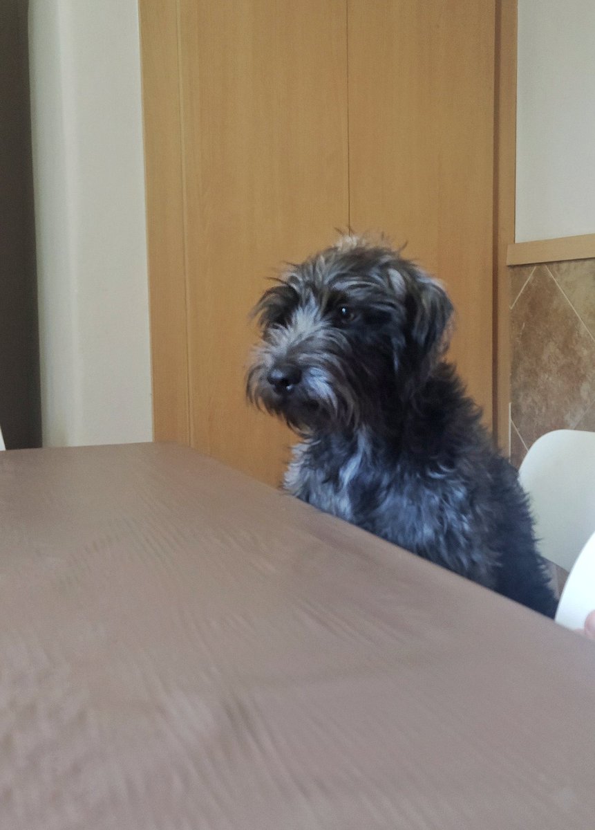 Un día bajé a merendar y me encontré a hijo así