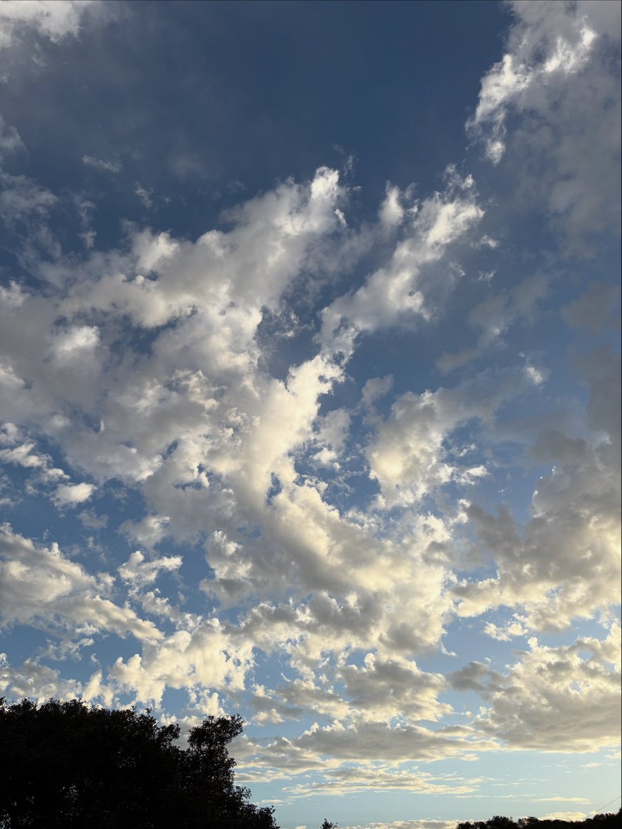 The weekend air quality forecast is Green/Good for all of Santa Barbara County.
 
El pronóstico de la calidad del aire para el fin de semana es Verde/Bueno para todo el condado de Santa Bárbara.