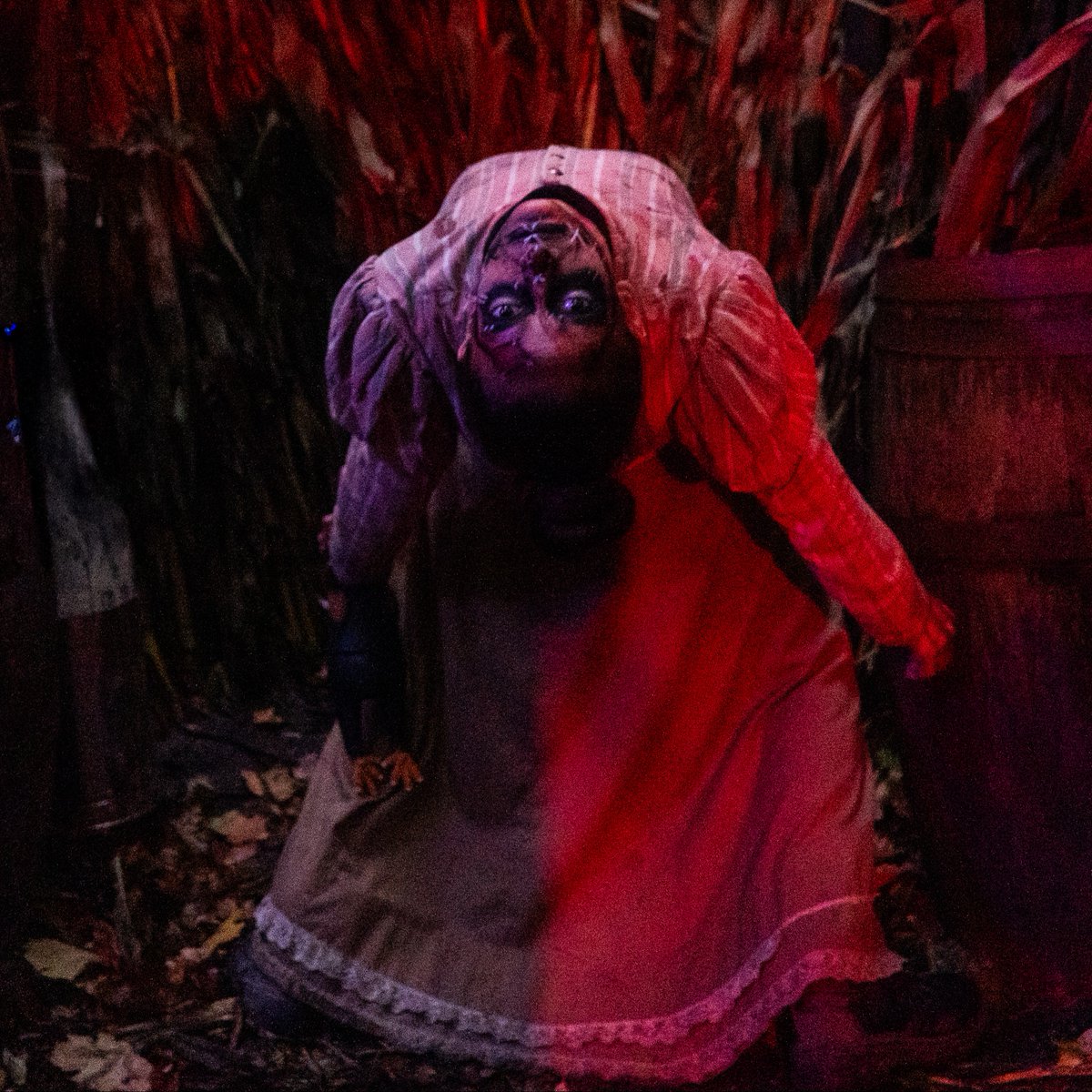 WonderlandNews's tweet photo. They didn’t come to haunt… they came to slay. 💀🔥

Our monsters are out in full force at #HalloweenHaunt, ready to bring the screams all season long. 👻

Which monster is your favourite this year? 👀

#CanadasWonderland #AmusementPark #TorontoThingsToDo #HalloweenToronto https://t.co/PIbKUWYqPj