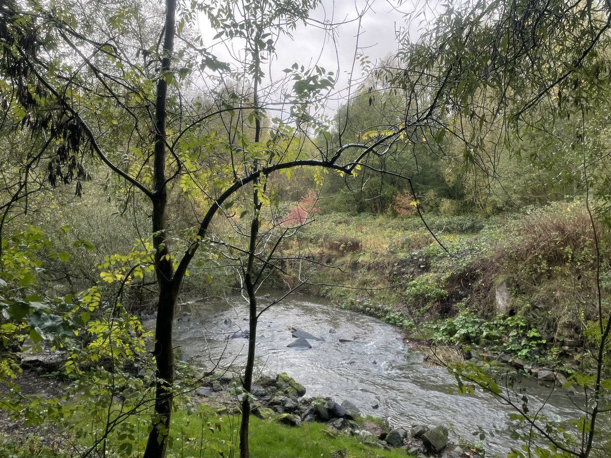 UKbigcat's tweet image. today I walked twenty seven miles in my chainmail