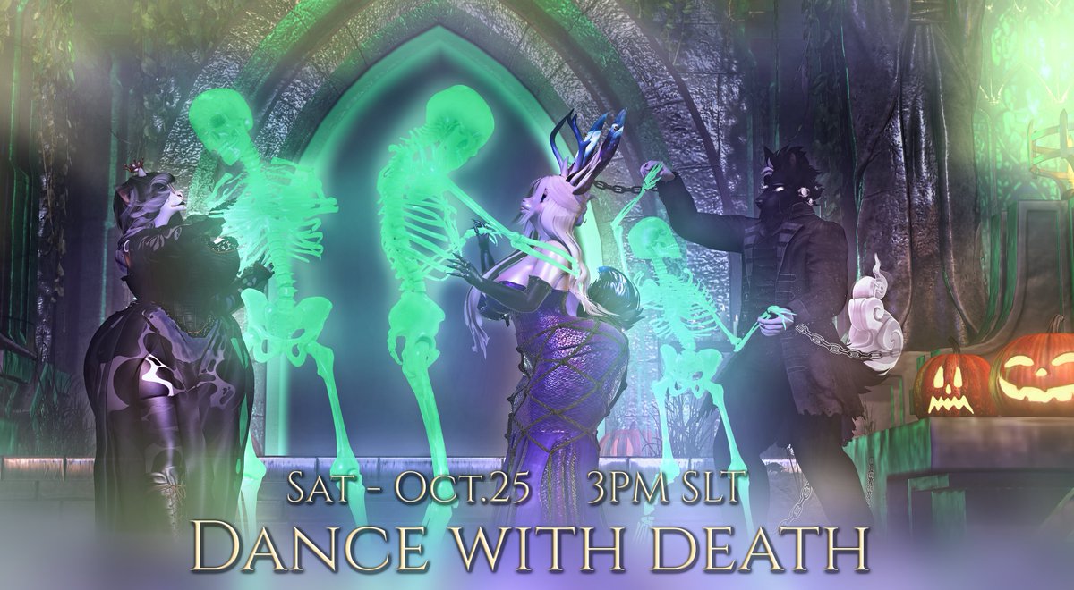 The Golden Stallion 🟦 tweet media