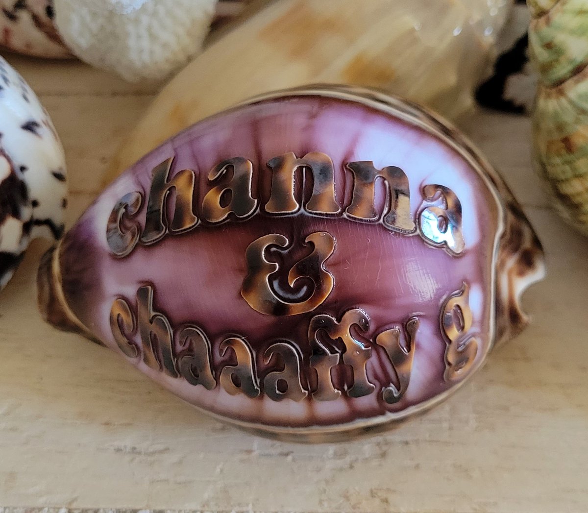 SayItOnAshell's tweet image. 🌅 SATURDAY - “Stories from the Sea”
September shells, each one a story.  🐚✨

Which one speaks to you most?

📎 Website: sayitonashell.com/engraved-shells

#EngravedShells #SayItOnAShell