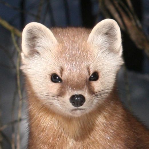 fishievv's tweet image. 