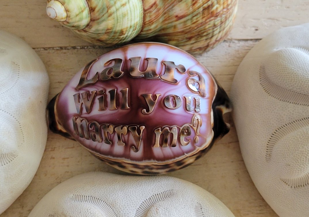 SayItOnAshell's tweet image. 🌅 SATURDAY - “Stories from the Sea”
September shells, each one a story.  🐚✨

Which one speaks to you most?

📎 Website: sayitonashell.com/engraved-shells

#EngravedShells #SayItOnAShell