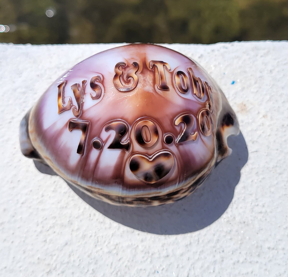 SayItOnAshell's tweet image. 🌅 SATURDAY - “Stories from the Sea”
September shells, each one a story.  🐚✨

Which one speaks to you most?

📎 Website: sayitonashell.com/engraved-shells

#EngravedShells #SayItOnAShell