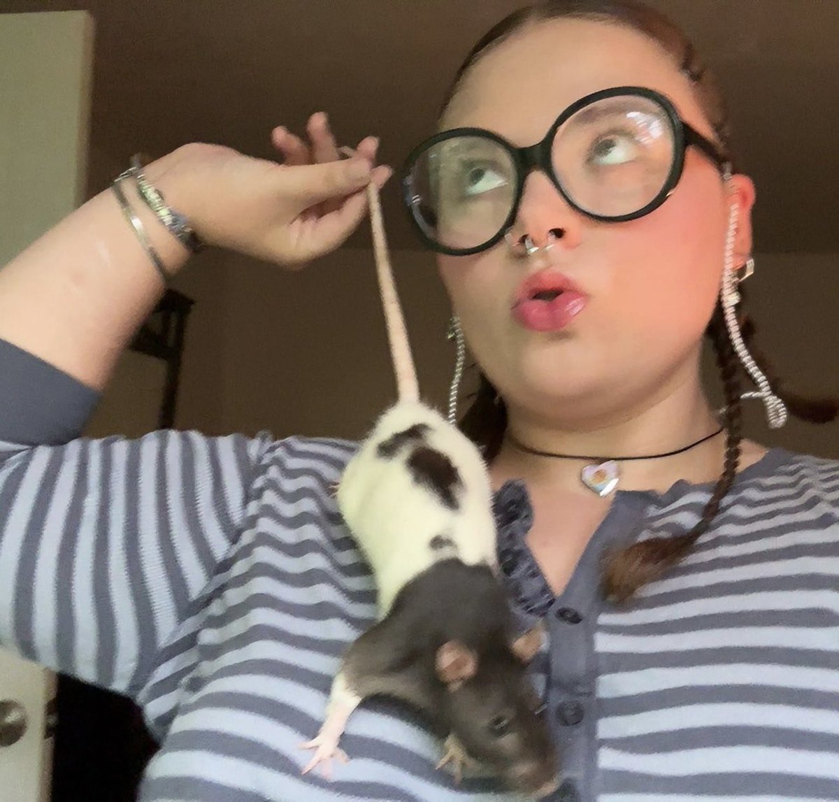phazinga's tweet photo. dan and phil and rat content ohhhhhh happy happy day! #phanniefriday https://t.co/5SPLbueyRO