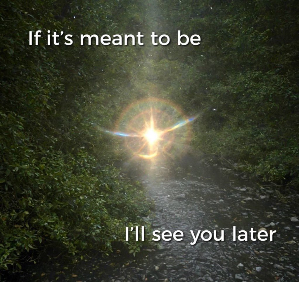 Star Slop (@starslopped) on Twitter photo 