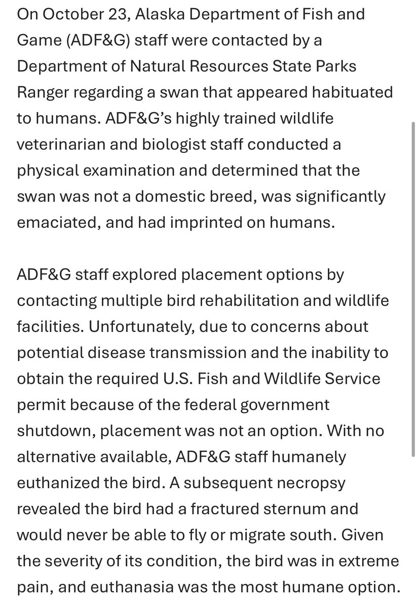 alaskalandmine's tweet photo. Statement from Alaska Dept. of Fish & Game about the baby swan they killed. #swangate https://t.co/d7xks4IUxt