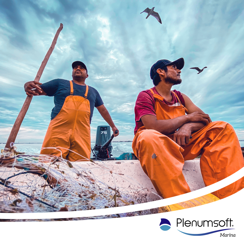 Plenumsoft Marina tweet media