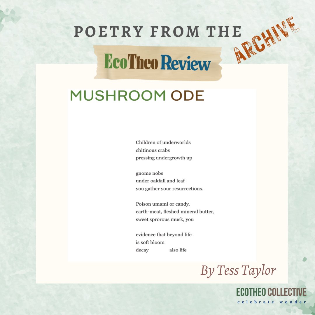 EcoTheo Collective tweet media