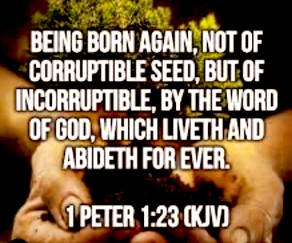 <a href="/RosePagaduan2/">RoseP@ChildOfGod</a> <a href="/elliesangelwing/">Doreen</a> <a href="/racheljill66/">Rachel Jill</a> <a href="/810100jn/">Jannie</a> <a href="/Emmanue37844681/">Emma</a> <a href="/thompsonb2569/">Sword⚔️&Torch🔦of God🤺🛡️📖🩺🏥</a> <a href="/JUBILEE_7DOUBLE/">KATY 🕎✡️✝️🙌🔥Royal Guard 👑</a> <a href="/TAG123abc/">Theresa</a> <a href="/EliCann1/">Elisa Cann☝✝️💒🙏🛐🕊💕🇺🇸</a> ☝️👇
1
GBU FOR SHARING THIS!
Col.22:-23 Which All Are To Perish With The Using;
👉AFTER "THE COMMANDMENTS &amp; DOCTRINES" *OF MEN✔️
23) Which Things Have Indeed
👉A SHEW OF WISDOM
IN WILL WORSHIP &amp; HUMILITY &amp; NEGLECTING OF THE BODY✔️ "NOT IN ANY HONOUR TO THE SATISFYING OF THE FLESH