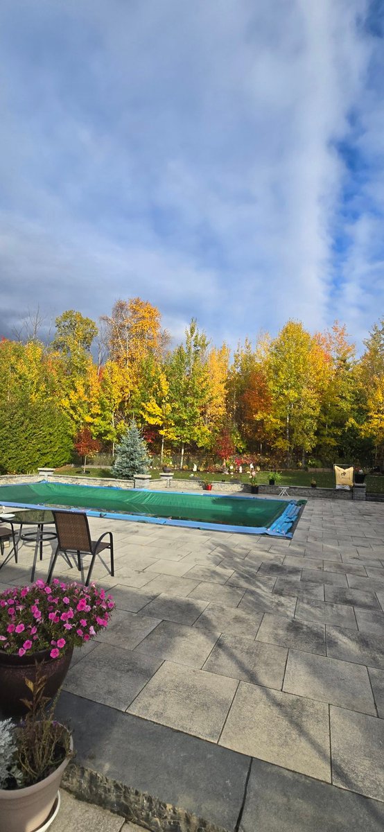 Gantosj's tweet image. I love this season, colors change drawing a beautiful picture 
#fallcolors #Fall