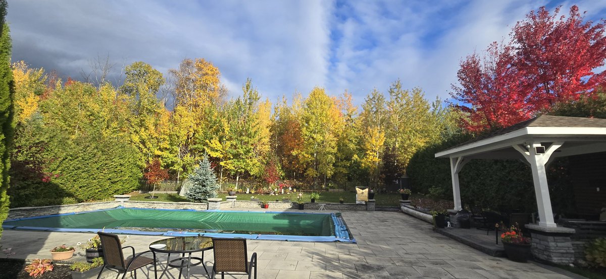 Gantosj's tweet image. I love this season, colors change drawing a beautiful picture 
#fallcolors #Fall