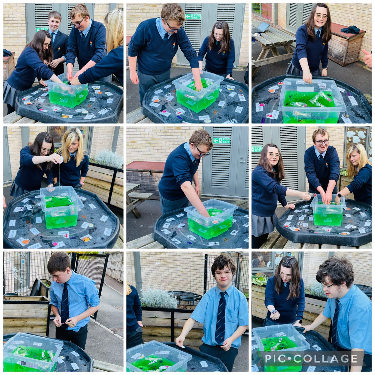 MCS_SRB's tweet image. A fun, sensory slime quiz for Year 10 and 11 this week 🎃🍂🐸
