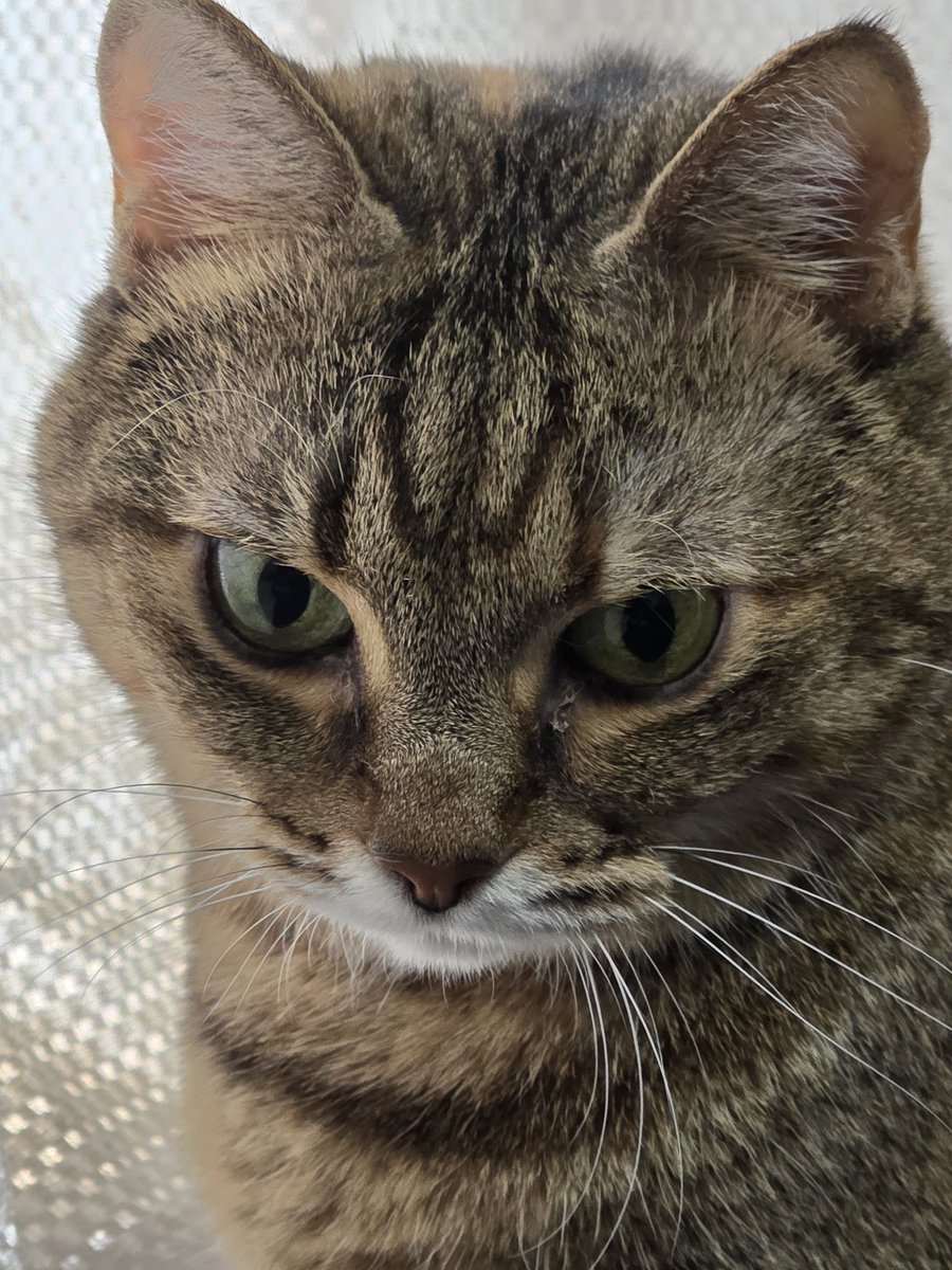 みーちゃん on X