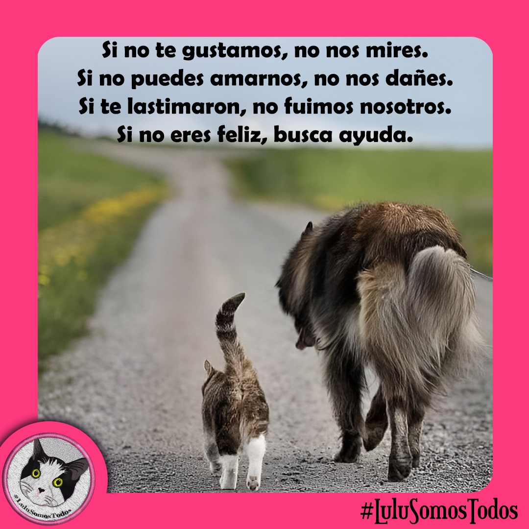 #24Oct #LaHoraX de #LuluSomosTodos, mañana sábado #25Oct. 8:00 pm 🇻🇪. Y para los que sí los aman, no los dejemos  atrás POR ABANDONO, O POR INDIFERENCIA. BÚSCALO, RESCÁTALO, ADÓPTALO, ALIMÉNTALO, PROTÉGELO! ESTERILIZA, CASTRA, AYUDA, DENUNCIA ! #SalvaVidas. #Seguimos!