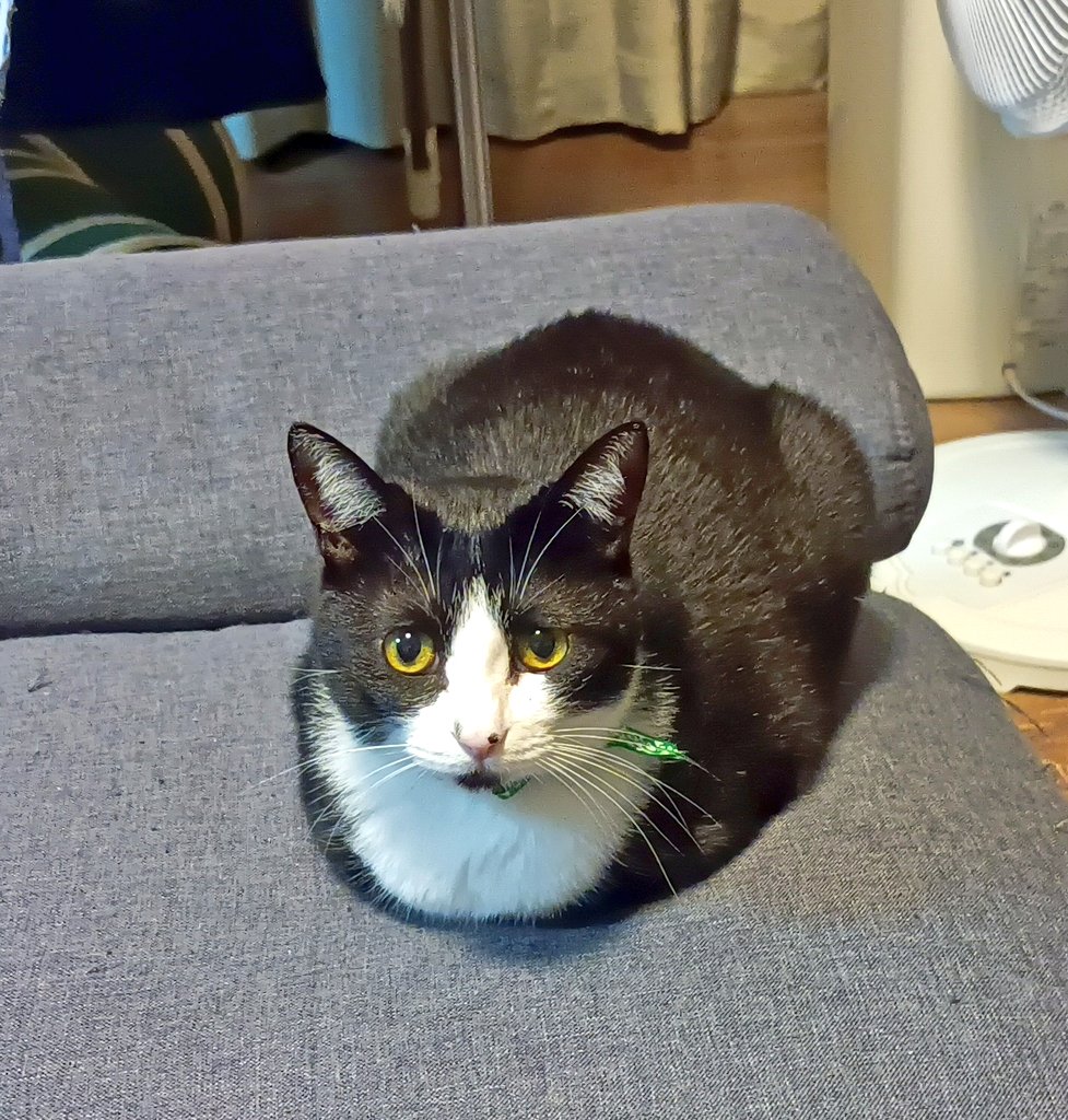 ㊤里予日月 on X