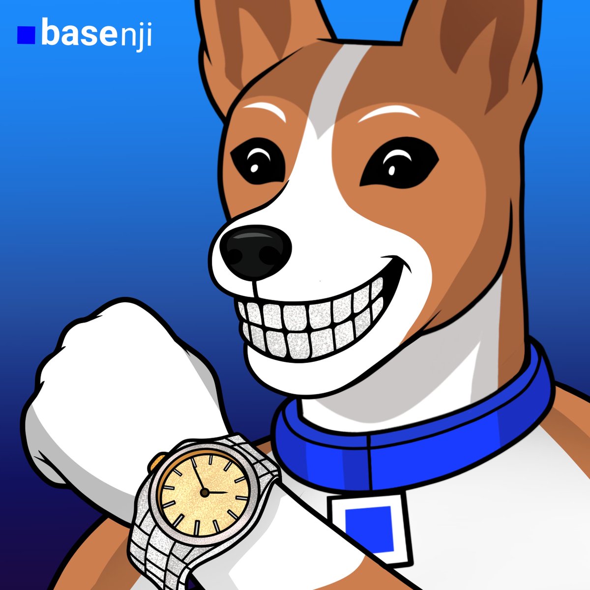 Basenjiofficial's tweet photo. @rifkXYZ @base @clankeronbase @dockerxbt @Toshi_base https://t.co/NJumKwyIhw